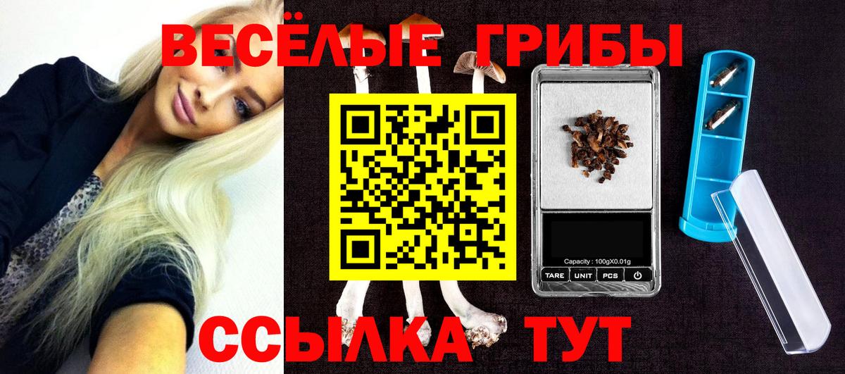 Псилоцибиновые грибы Magic Shrooms  Вход с VPN  Зима 